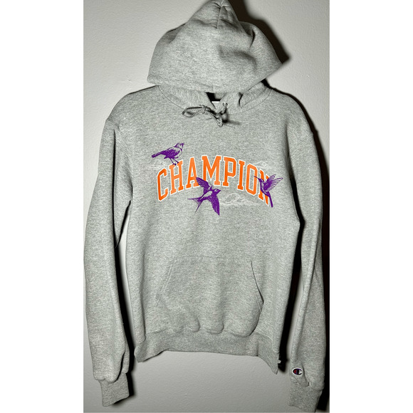 Vintage Champion Urban Outfitters Songbird Gray Hoodie Sz Small Rare - Picture 2 of 11